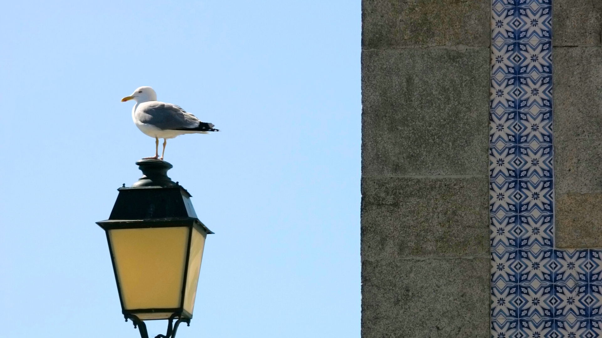 Discover Porto Like a Local